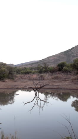 Naturszene-In-Südafrika