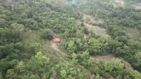 Vegetación-Bosque-Vista-De-Pájaro