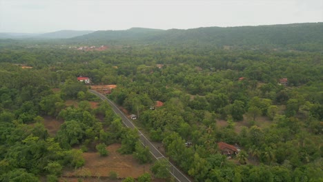 Drone-Forestal-Disparado-De-Derecha-A-Izquierda