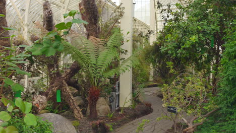 Detail-Des-Pfades-Im-National-Botanic-Gardens-Of-Ireland