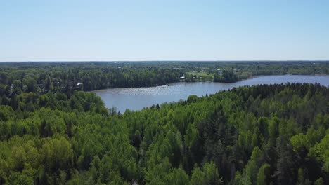 Flyover-lush-green-forest-to-sparkling-blue-surface-of-northern-lake