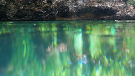 Mexican-Cenote,-Surface-and-Underwater-View,-Fish-Swimming-in-Turquoise-Water