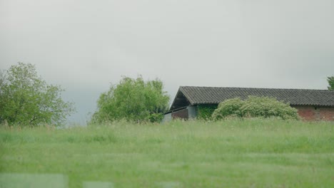 A-rural-scene-featuring-a-modest-house-with-a-tiled-roof-partially-hidden-behind-lush-greenery-and-trees,-set-against-an-overcast-sky