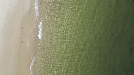 Dennis-port-beach-and-nantucket-sound-in-the-morning,-aerial-view