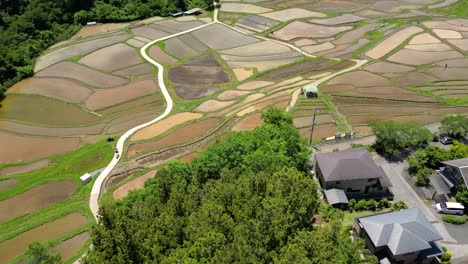 Un-Dron-Inclinado-Revela-Las-Terrazas-De-Arroz-De-Terasaka-Cerca-De-Tokio