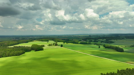 Aerial-footage-a-wide-expanse-of-lush-green-fields-under-a-partly-cloudy-sky,-emphasizing-the-beauty-of-rural-landscapes-and-natural-environments