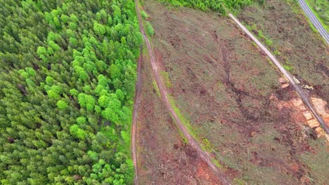 Logged-and-forested-land-comparison