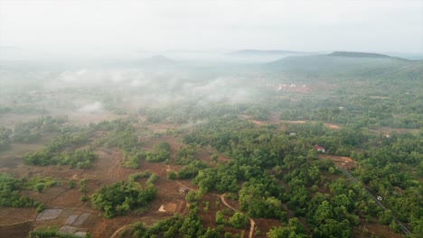 Vegetación-Bosque-Vista-De-Pájaro