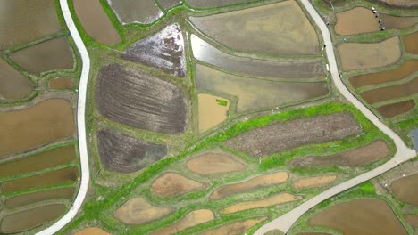 Top-down-slow-motion-drone-view-over-water-filled-rice-fields