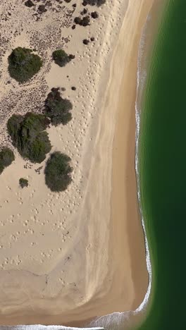 Aerial-view-of-a-beach-with-crystal-clear-green-waters-in-Oaxaca,-Mexico,-vertical-mode