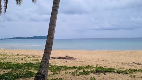 Playa-Tropical-Desierta-En-Una-Isla-Exótica,-Palmeras,-Arena-Y-Olas,-Panorama