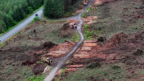 Gestapelte-Holzstämme-Aus-Holzfällen