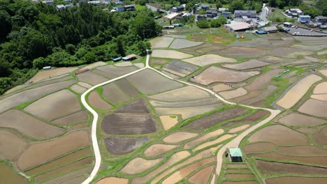 Langsame-Filmische-Aufnahme-über-Mit-Wasser-Gefüllte-Reisfelder-Durch-Eine-Drohne-In-Japan