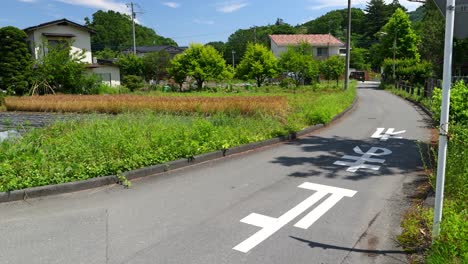 Paisaje-Rural-Típico-En-Japón-En-Un-Hermoso-Día-De-Verano