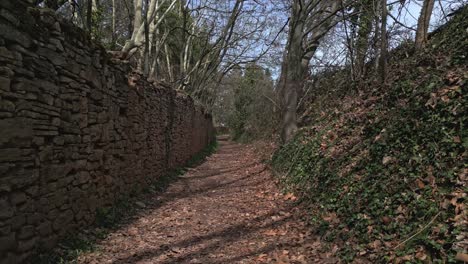 Spaziergang-Auf-Einem-Wunderschönen-Weg-In-Einem-Wald,-Umgeben-Von-Bäumen-Und-Einer-Steinmauer