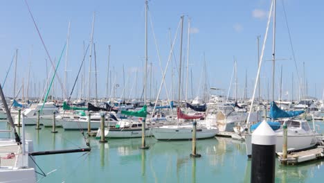 Barcos-Estacionados-En-Un-Muelle-En-City-Of-Sails,-Westhaven,-Auckland,-Nueva-Zelanda