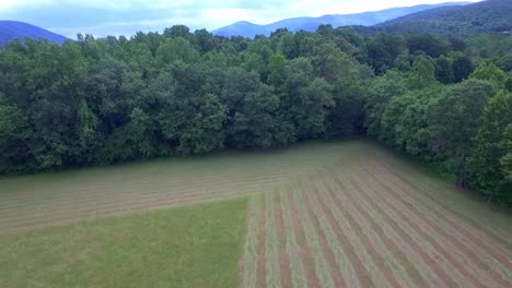 Aerial-of-Farmer-cutting-hay-with-tractor-during-harvest-in-open-field