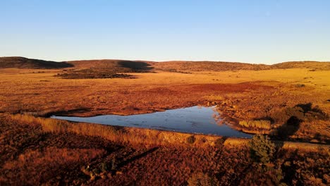 Impresionante-Vista-De-Un-Lago,-Capturada-Desde-Una-Altura-Al-Amanecer-Sobre-Un-Vasto-Terreno-Abierto.