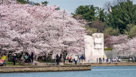 Angled-Slow-shutter-Time-lapse-of-the-crowds-flocking-to-the-Martin-Luther-King-Jr