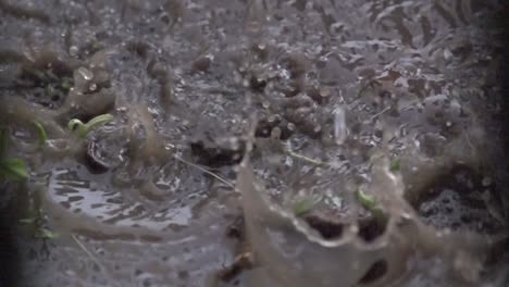 Lluvia-De-Primavera-En-Tierras-De-Cultivo