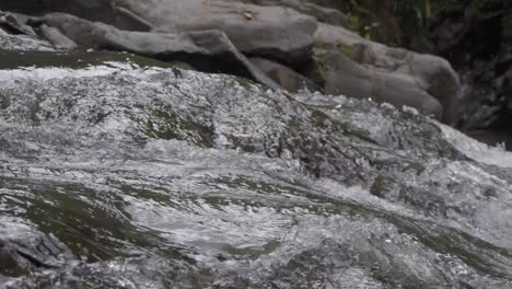 Close-up-of-a-rushing-stream-over-smooth-rocks-in-Bali,-Indonesia