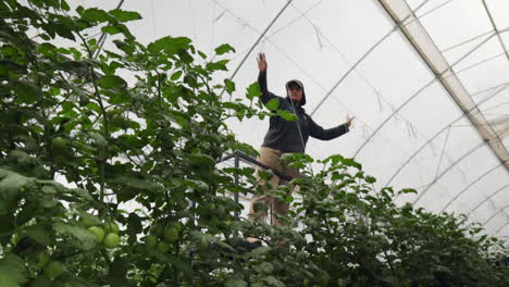 Organic-farmer-in-greenhouse