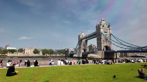 Tower-Bridge-Vom-Potters-Field-Park,-London