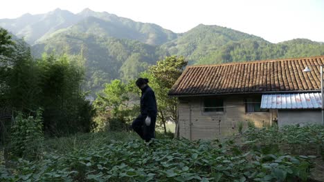 Mujer-China-Cuidando-Su-Campo