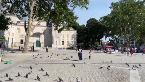 Gebäude-In-Istanbul,-Türkei-Im-Sommer-Mit-Blauem-Himmel-Während-Der-Goldenen-Stunde