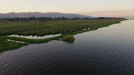 Aerial-view-of-a-floating-garden-bed-on-Inle-Lake,-Myanmar,-on-a-calm-evening