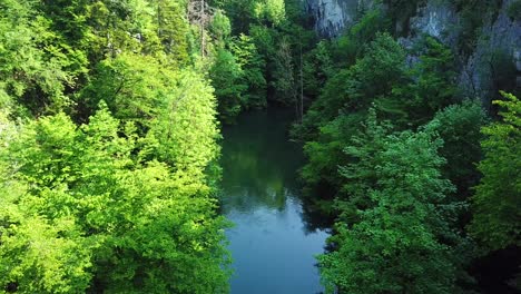 Vista-Aérea-Cerca-De-La-Cueva-De-Cerknica,-Eslovenia,-Con-Un-Río-Que-Fluye,-Rodeado-Por-Un-Bosque