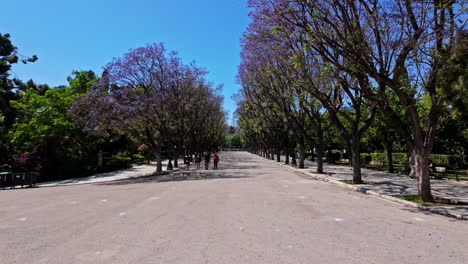 People-walking-in-park-of-Athens-city-on-hot-sunny-day,-slow-motion-view