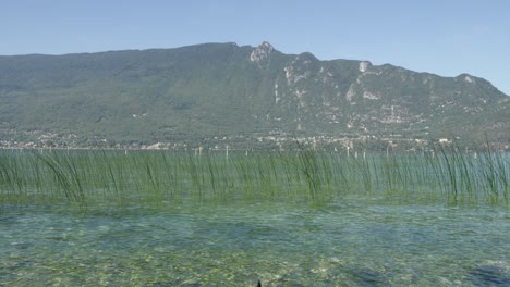 Disparo-Estático-Sobre-Un-Lago-Con-Hierba-Durante-El-Día-Dent-Du-Chat-Mountain-De-Saboya,-Francia