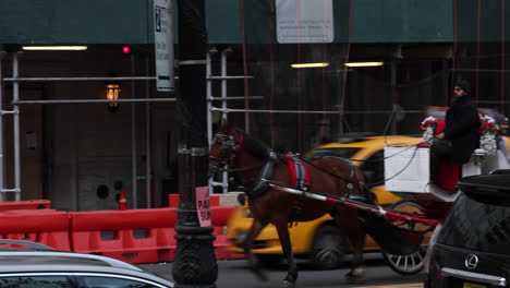 Tourist-carriage-trots-on-the-street-of-Manhattan,-NYC