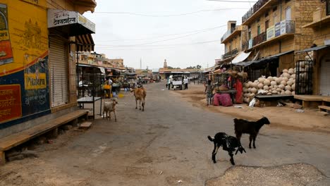 Vegetable-market-opening-in-the-morning