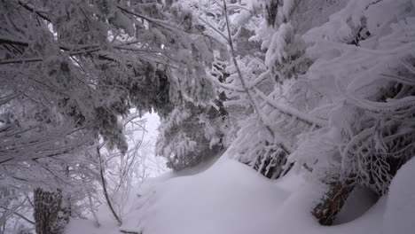 Dolly-Pan-Shot-Im-Wunderbaren-Winterlichen-Ostkanadischen-Berg