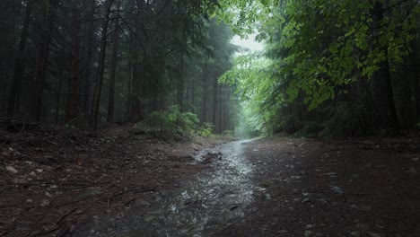 Brook-flows-after-the-rain-through-a-beautiful-leafy-healthy-forest-on-a-spring-morning