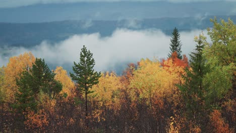 Wolken-Ziehen-über-Dem-Herbstwald-Und-Dem-In-Nebel-Gehüllten-Tal