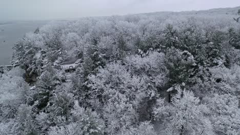 Plataforma-De-Observación-De-Aves-En-Medio-De-Un-Vasto-Bosque-Cubierto-De-Nieve-En-Un-Paisaje-Invernal,-Dando-Vueltas-Aéreas