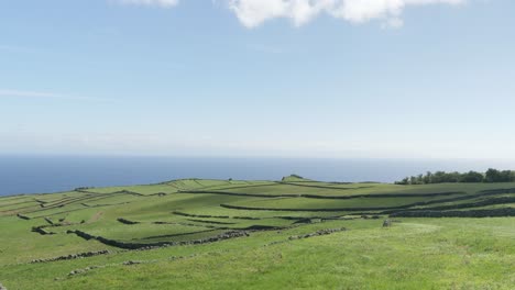 Hermosos-Campos-Verdes-En-La-Isla-Graciosa,-Azores