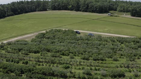 Cosecha-De-Arándanos-Cultivo-Huerta-Aérea-De-Massachusetts