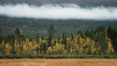 Eine-Parallaxenaufnahme,-Die-Leichte,-Tief-Hängende-Wolken-über-Einem-Gemischten-Herbstwald-Und-Einem-Reifen-Weizenfeld-Einfängt