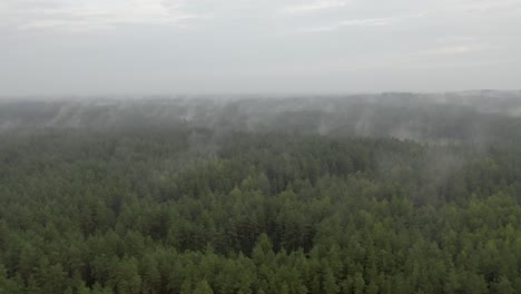 Drone-flight-over-a-foggy-forest