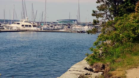 Blick-Auf-Den-Jachthafen-Von-Portland-In-Der-Nähe-Der-Ostpromenade