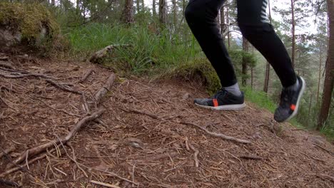 Slow-motion-Close-up-of-runner-Shoe,-run-through-pine-needles-trail