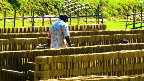 Brick-field-worker-pushing-wheel-barrow-through-stacks-of-drying-bricks