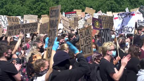 Los-Manifestantes-De-Black-Lives-Matter-Se-Reunieron-En-Un-Parque-Público-Con-Carteles.