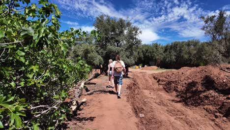 Turistas-Caminando-Por-El-Sendero,-Norte-De-África,-Marruecos,-árbol-De-Argán-Y-Tierra-Argile