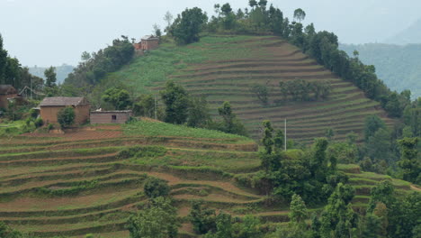 Una-Vista-Panorámica-De-Las-Verdes-Laderas-En-Terrazas-De-Las-Estribaciones-Del-Himalaya-En-Nepal