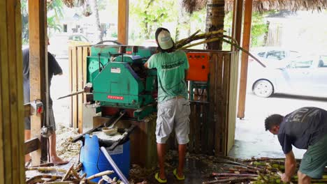 Mahé,-Seychellen:-Arbeiter-Zerkleinern-Zuckerrohr-In-Der-Rumbrennerei-Zur-Rumherstellung